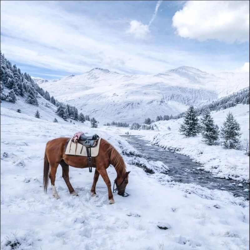 Foto dal profilo Instagram di Le Selle Italiane